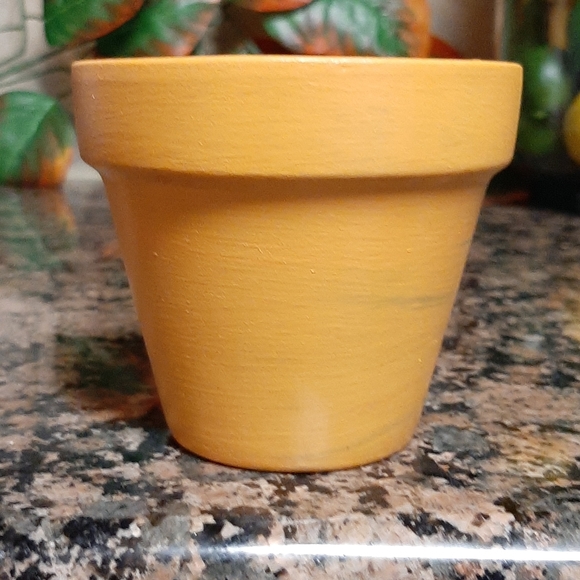 Hand Painted Terra Cotta Pot - Picture 2 of 5